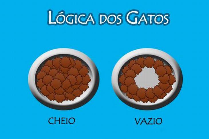 A Misteriosa Lógica dos Gatos