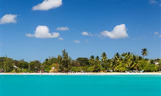 Guia Turístico Para Barbados